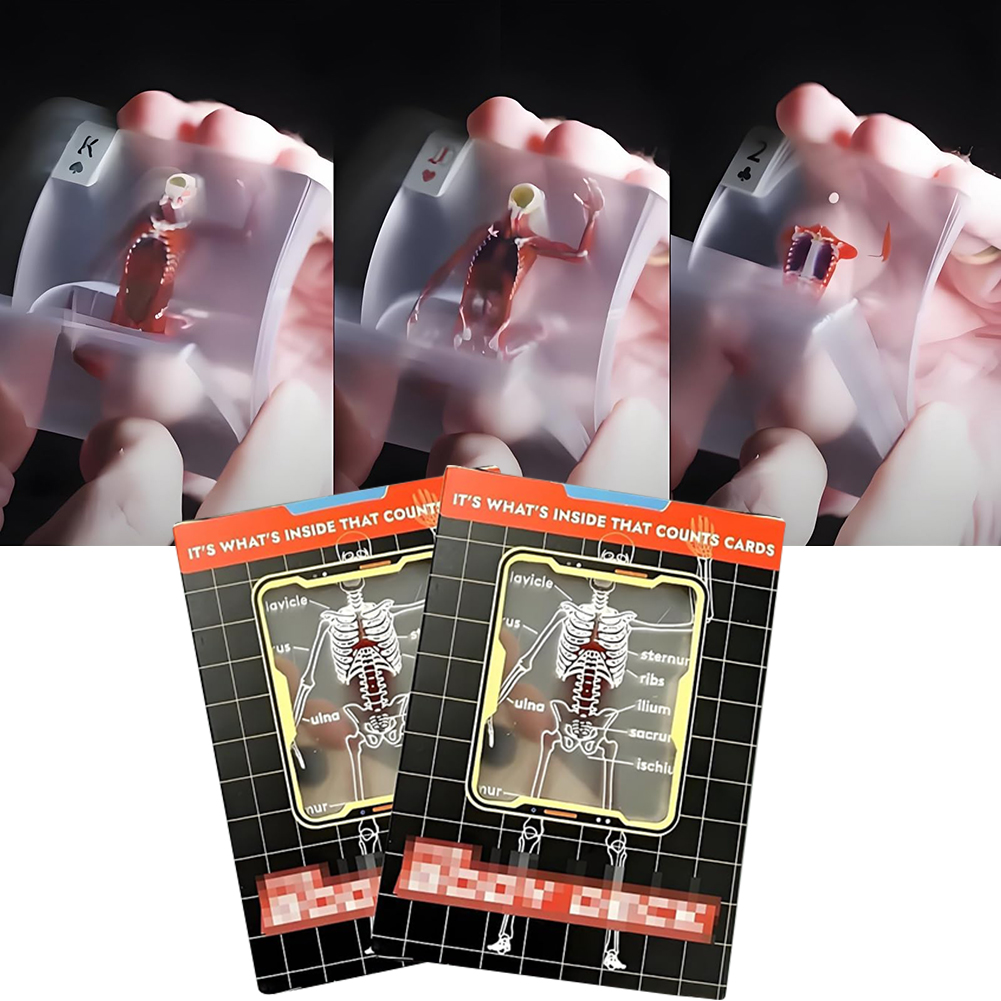 The Body Deck Mannequin Body D - Board Game Design avaliação e preço